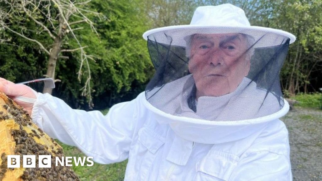 'Swarming bees are too full of honey to sting'