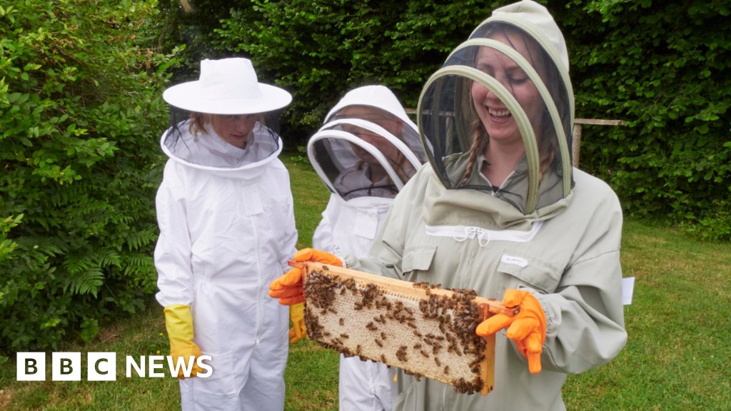 Beekeeping centre opens after £250,000 fundraiser
