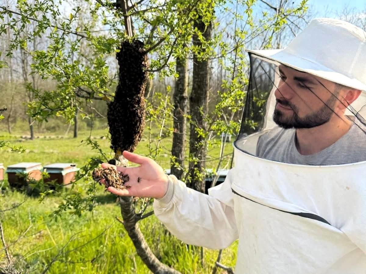 A technical visit was conducted to a beekeeper in Müsellim village, located in the Vize…