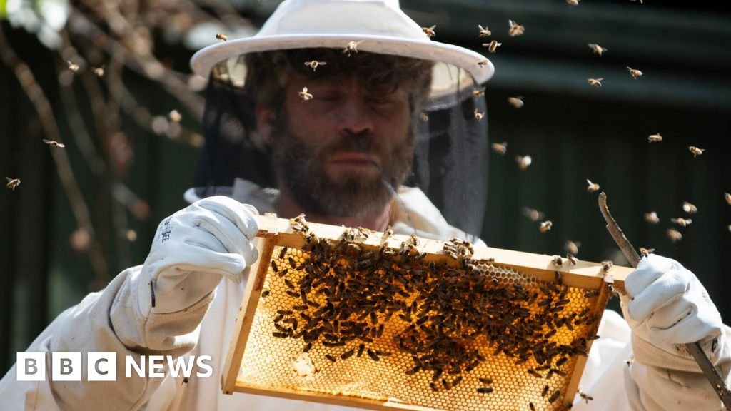 'Beekeeping really helped me after I left prison'