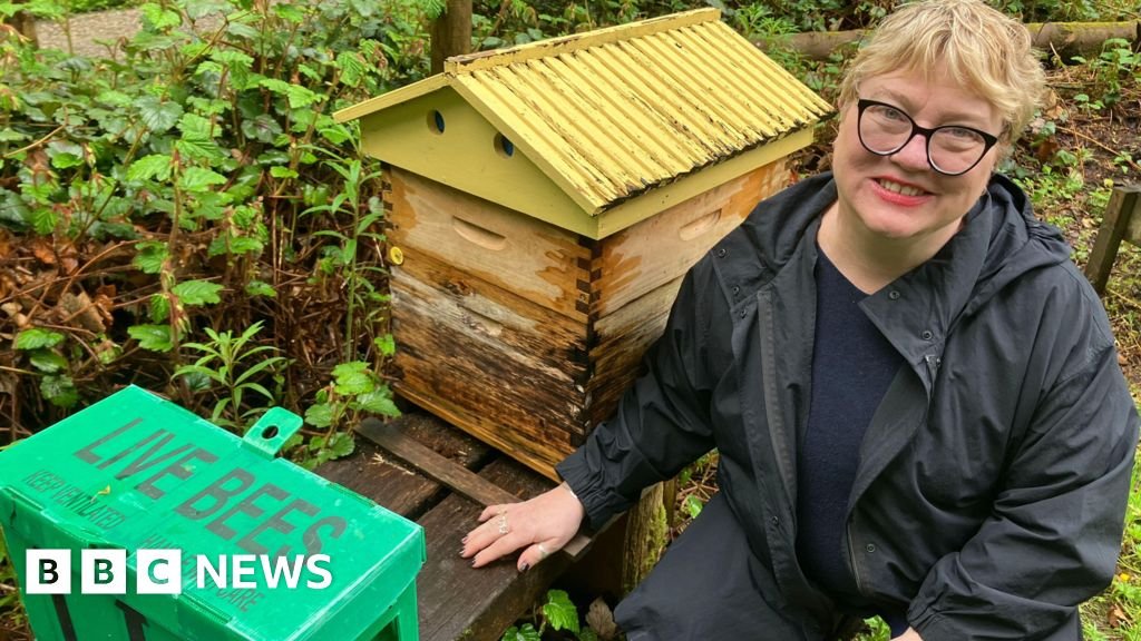 Free beekeeping workshops after 18,000 bees die over winter