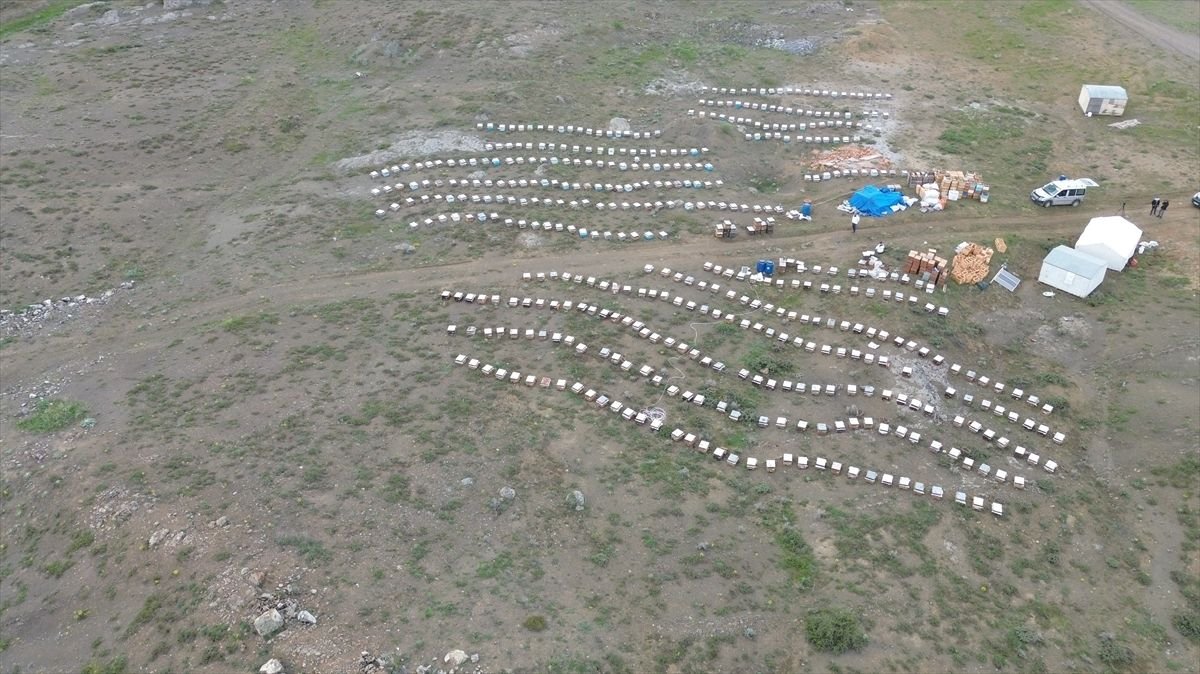 Yozgat, aufgrund seiner geografischen Struktur und Pflanzenvielfalt, gehört zu den am meisten…