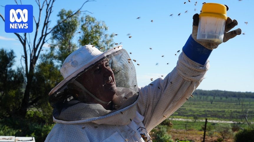 Les apiculteurs demandent que le biopesticide connu pour cibler le varroa soit autorisé en…