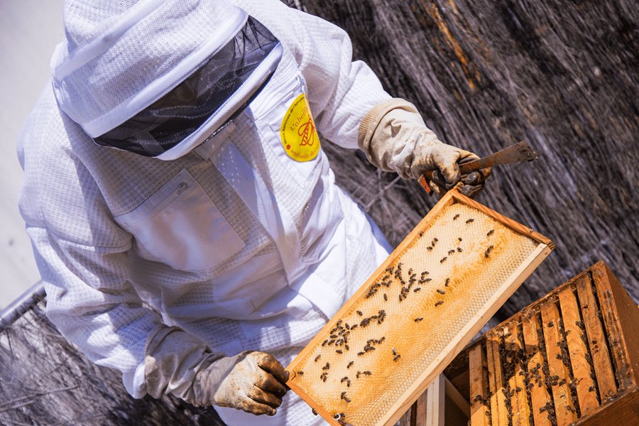 UNAF: National Union of French Beekeeping The National Union of French Beekeeping is a…