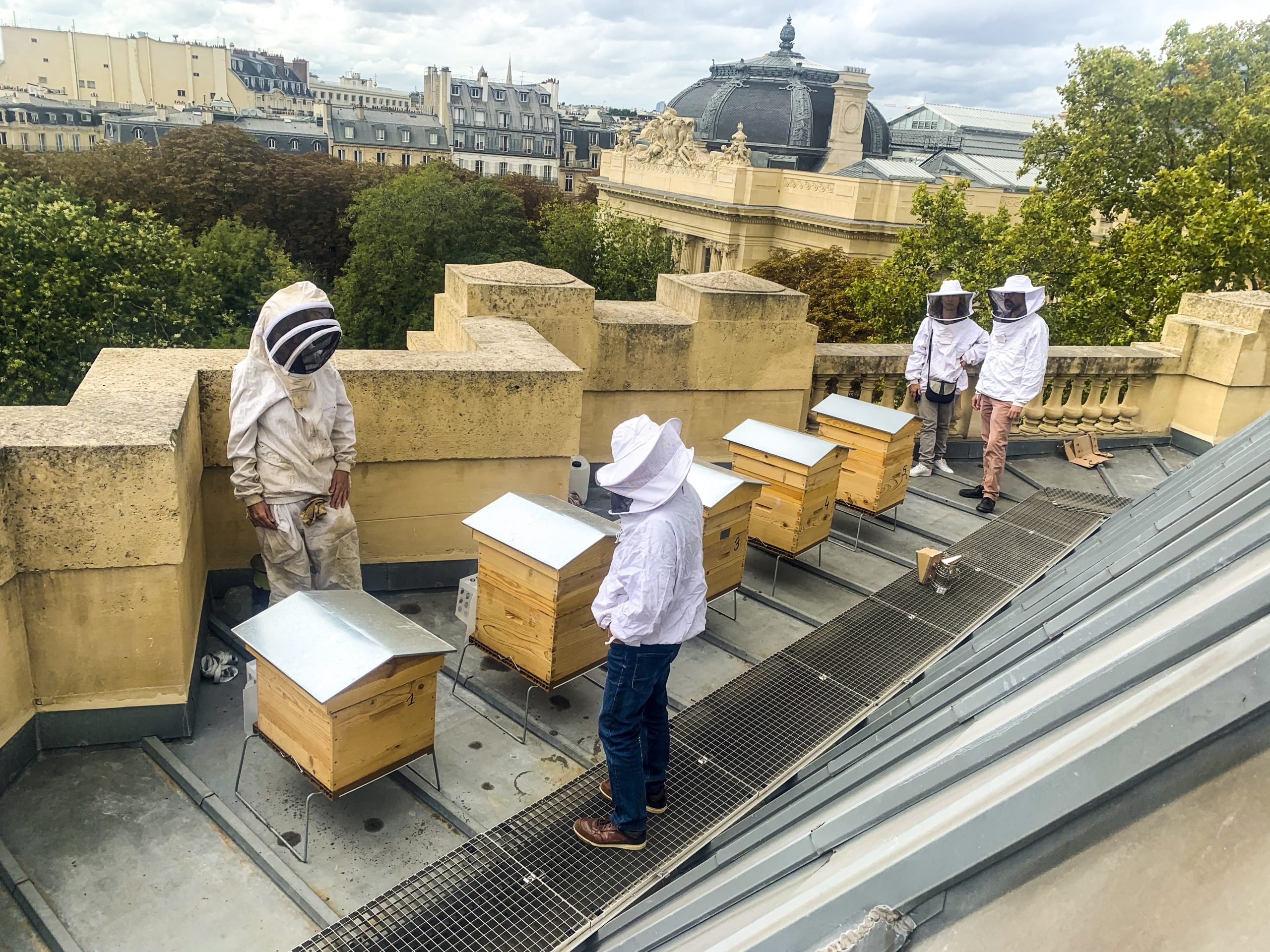 Five new partners have joined the Bee, Sentinel of the Environment program with the…