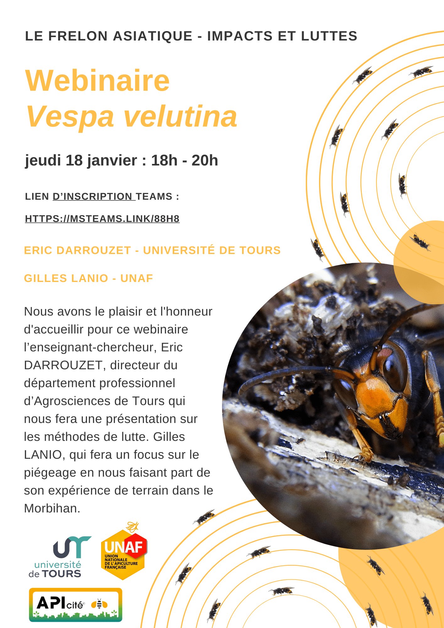 23 janvier 2024Webinaire – frelon asiatiqueLire la suite