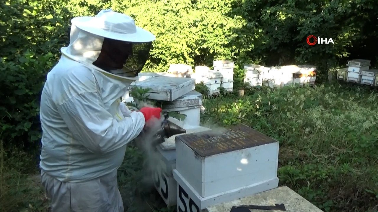 NEWS He started with his grandfather's advice, now aiming for 1 ton of honey Muhammet…