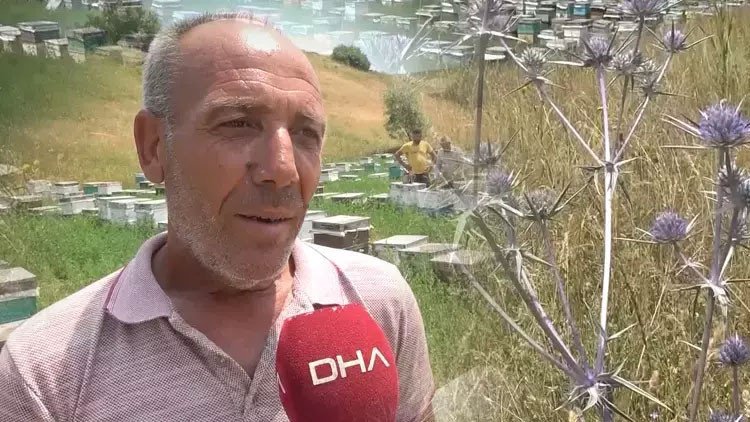 HABER Un apiculteur de Bodrum amène ses ruches à Yüksekova depuis 39 ans Hasan Ocak (53 ans),…