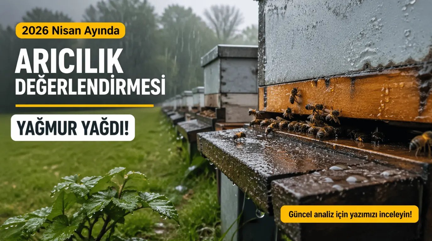 Current Assessment on Rainy Weather and Beekeeping in Istanbul (April 22–26) The rainy weather…
