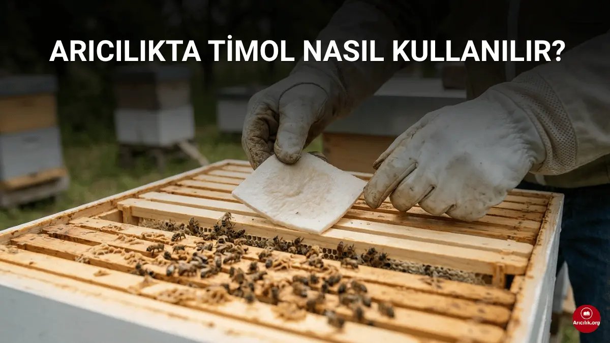 Wat is Thymol in de Bijenteelt en Hoe te Gebruiken