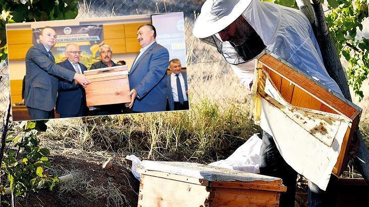 経済 巣箱の支援から「蜂蜜が滴る」 巣箱の支援から「蜂蜜が滴る」 2024年11月22日 - 07:01 | 最終更新: 2024年11月22日 - 07:02…
