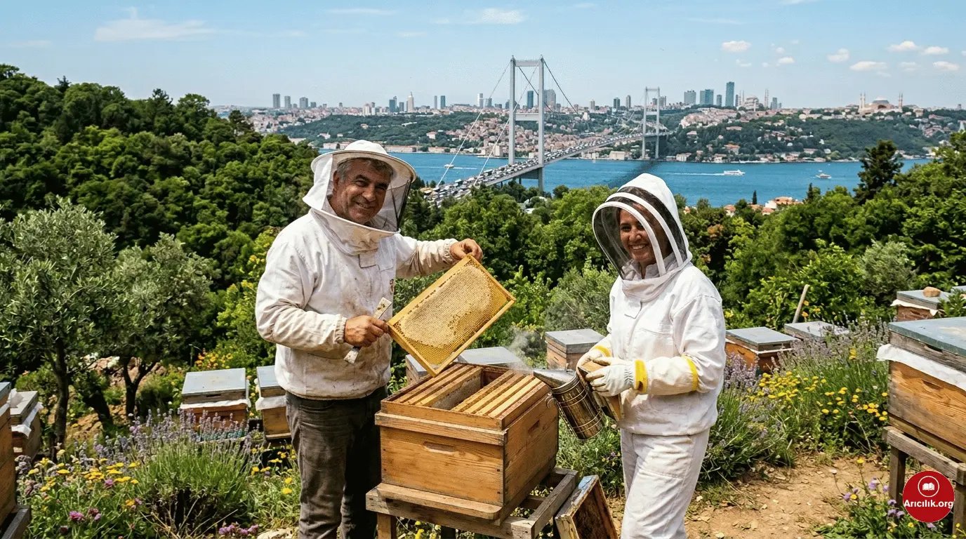 İstanbul’da Arıcılık Yapılır mı? (2026 Güncel Şartlar)