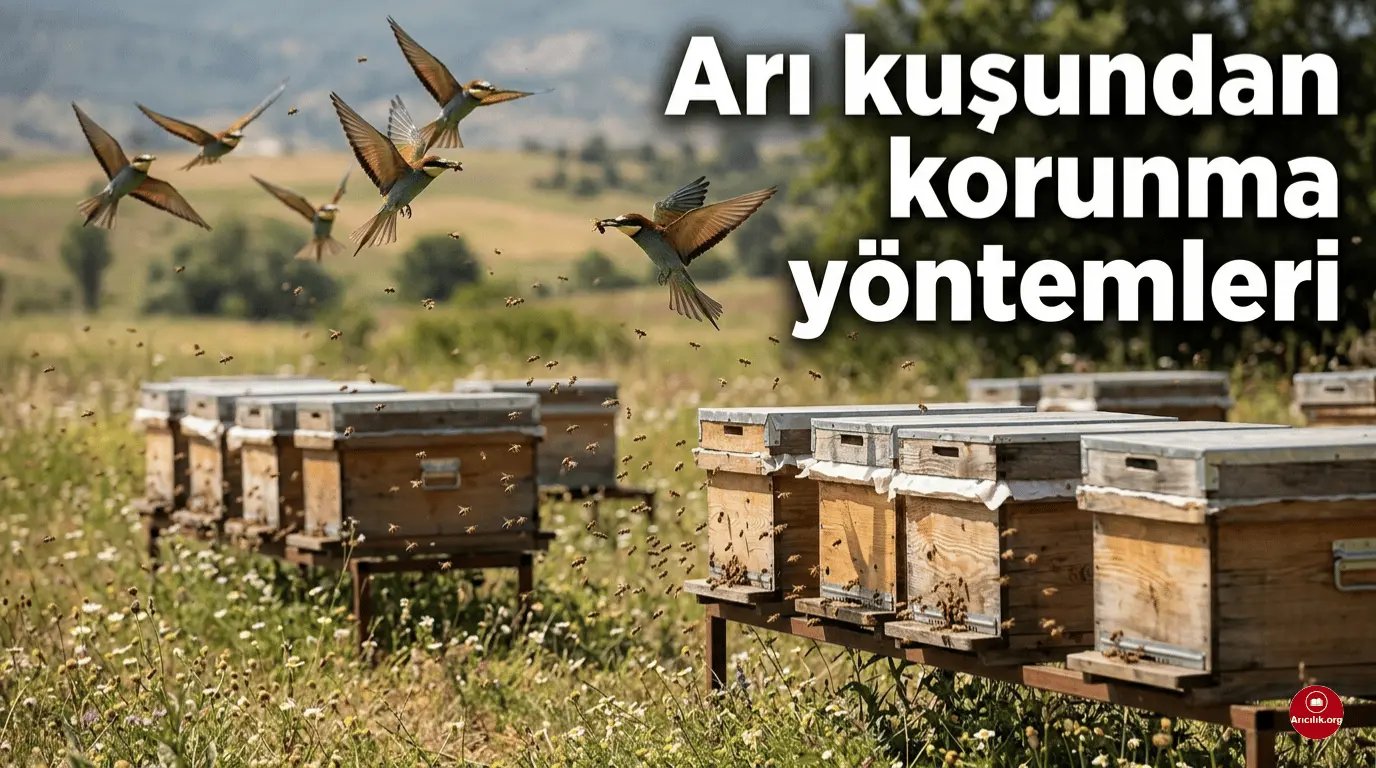 Arı Kuşundan Korunmak İçin Etkili Yöntemler