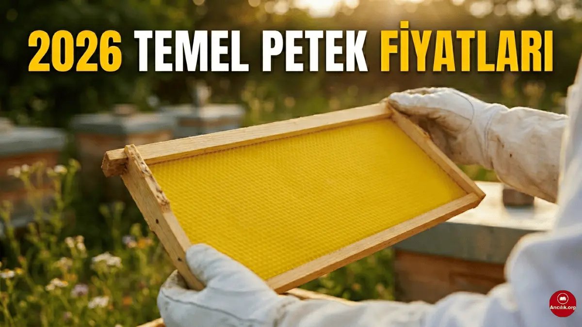 Preise für Bienenwaben 2026: Aktuelle Preise für Dalak, Grundwaben und Wachsverarbeitung…