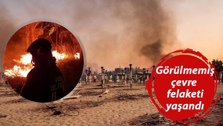 Unprecedented environmental disaster in Italy: 30 million honey bees lost in wildfires