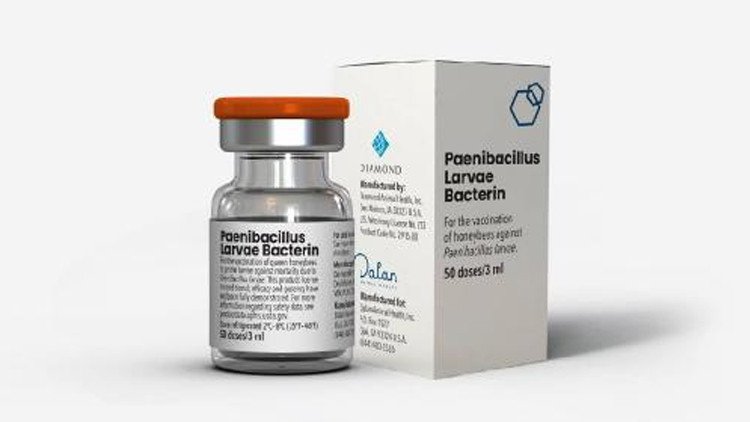Le ministère de l'Agriculture des États-Unis a approuvé le vaccin pour les abeilles Date de…