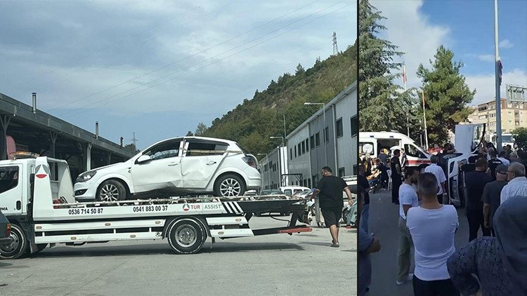 Une abeille dans la voiture a causé un accident : 2 blessés Date de mise à jour : 10 septembre…