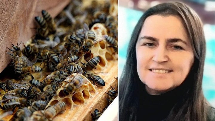 Giresun'da fındık toplarken arının soktuğu kadın hayatını kaybetti