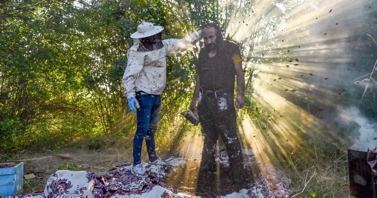 Canlı İzleSon Dakika Le rêve de "l'Homme Abeille" d'entrer dans le Livre Guinness des Records…