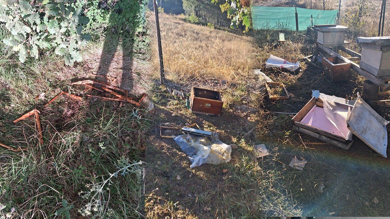 In Bolu wurden 7 Bienenvölker zerstört