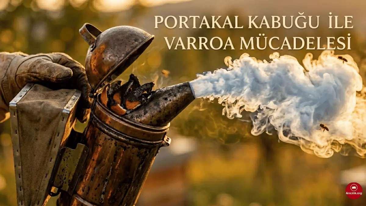 Portakal Kabuğu ile Varroa Mücadelesi (Doğal Yöntem)