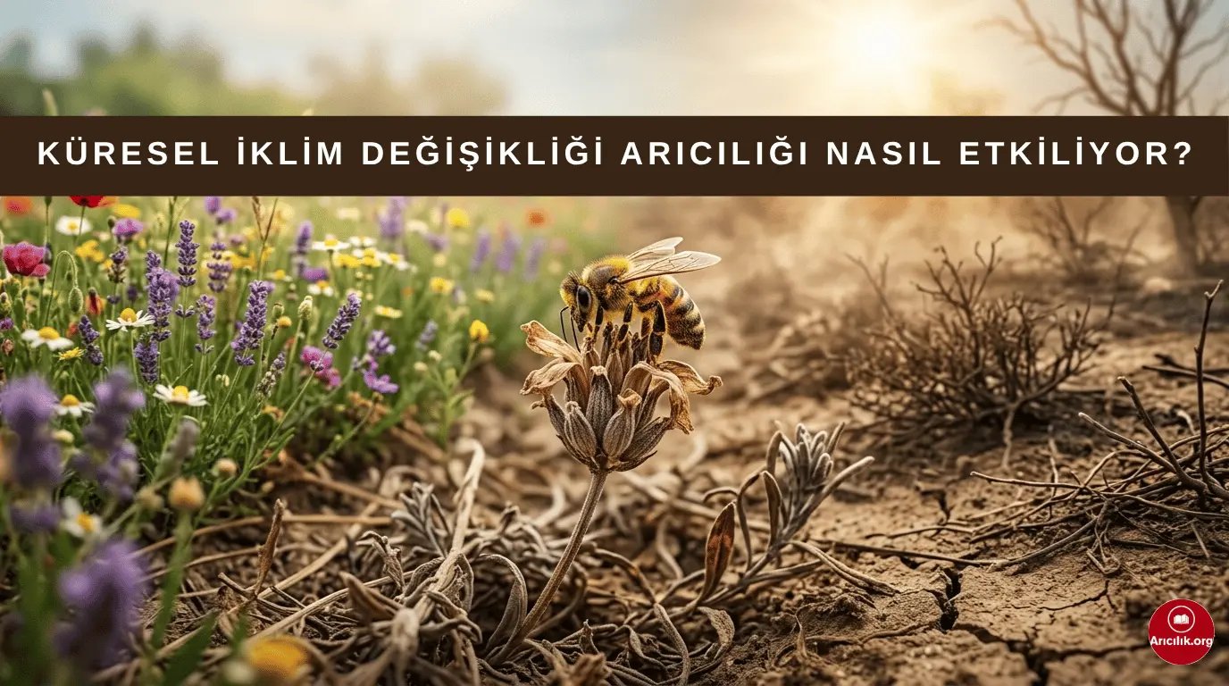 Küresel İklim Değişikliğinin Arıcılık Üzerindeki Etkileri