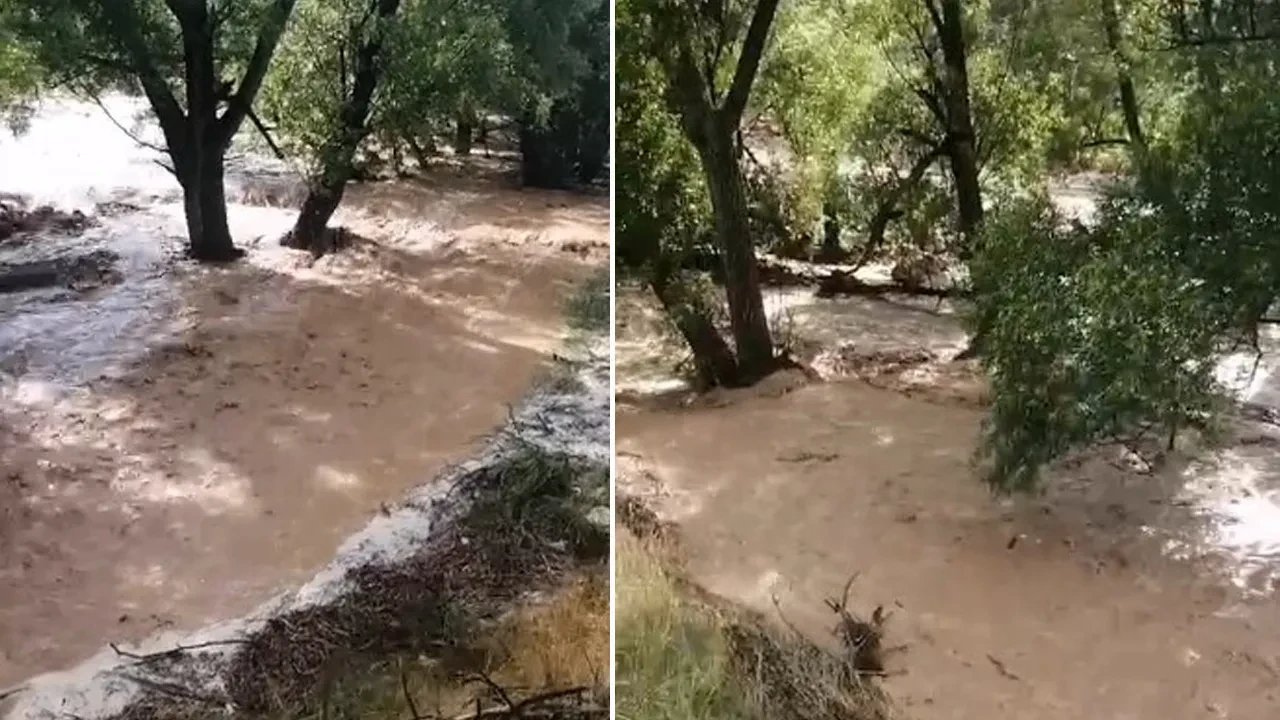 Erdemli district of Mersin faced an unexpected natural event on July 19, 2025