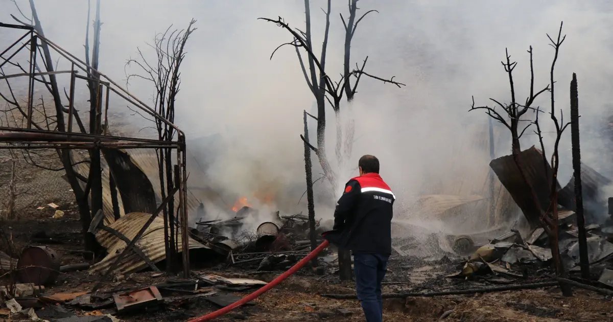Live WatchBreaking News Fire in bee hives