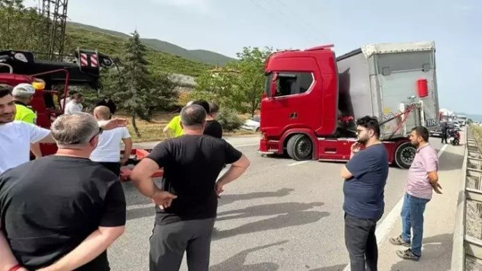 Bir arı ilçe trafiğini kilitledi... TIR sürücüsü arının sokması sonucu fenalaşıp şoka girdi