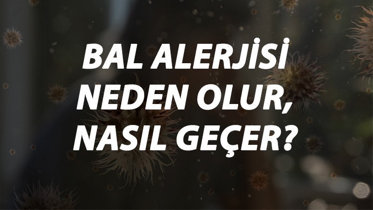 Bal Alerjisi Nedir, Neden Olur Ve Nasıl Geçer? Bal Alerjisi Belirtileri Ve Tedavisi Hakkında Bilgi