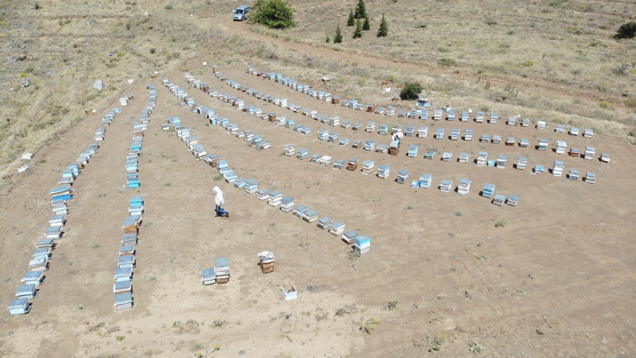 Erzincan yaylalarında arıcıların zorlu mesaisi başladı, sezonun ilk balları süzülüyor
