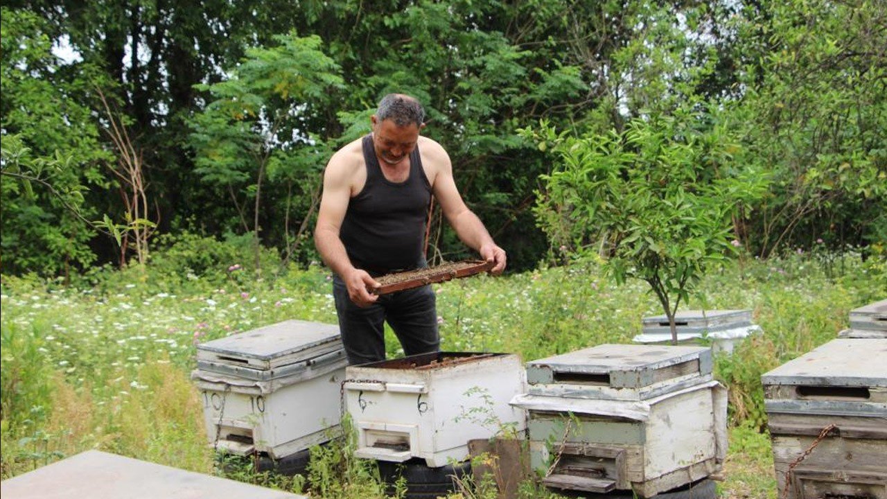 „Meine Bienen erkennen mich“, sagte er herausfordernd Ein Bürger aus dem Bezirk Payas in Hatay…