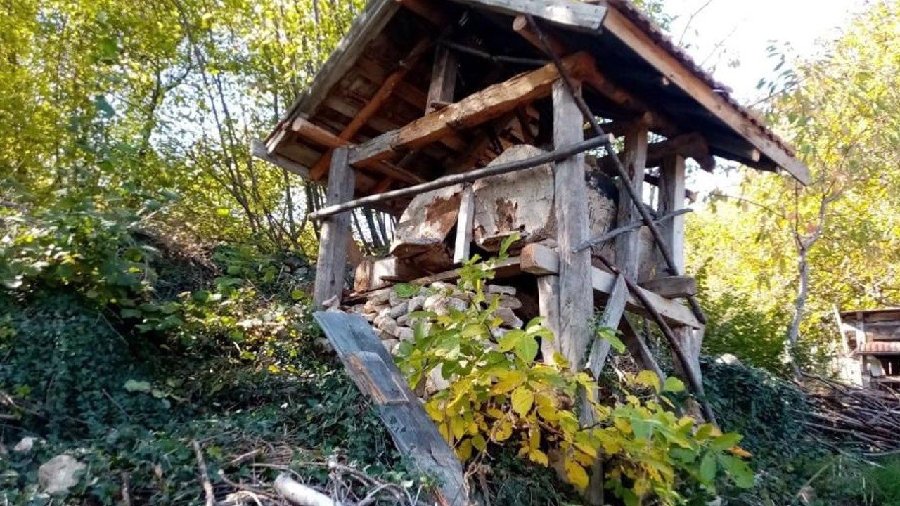 Bären, die in Kastamonu in Häuser eindringen, zerstören Bienenstöcke Bären, die bis zu den…