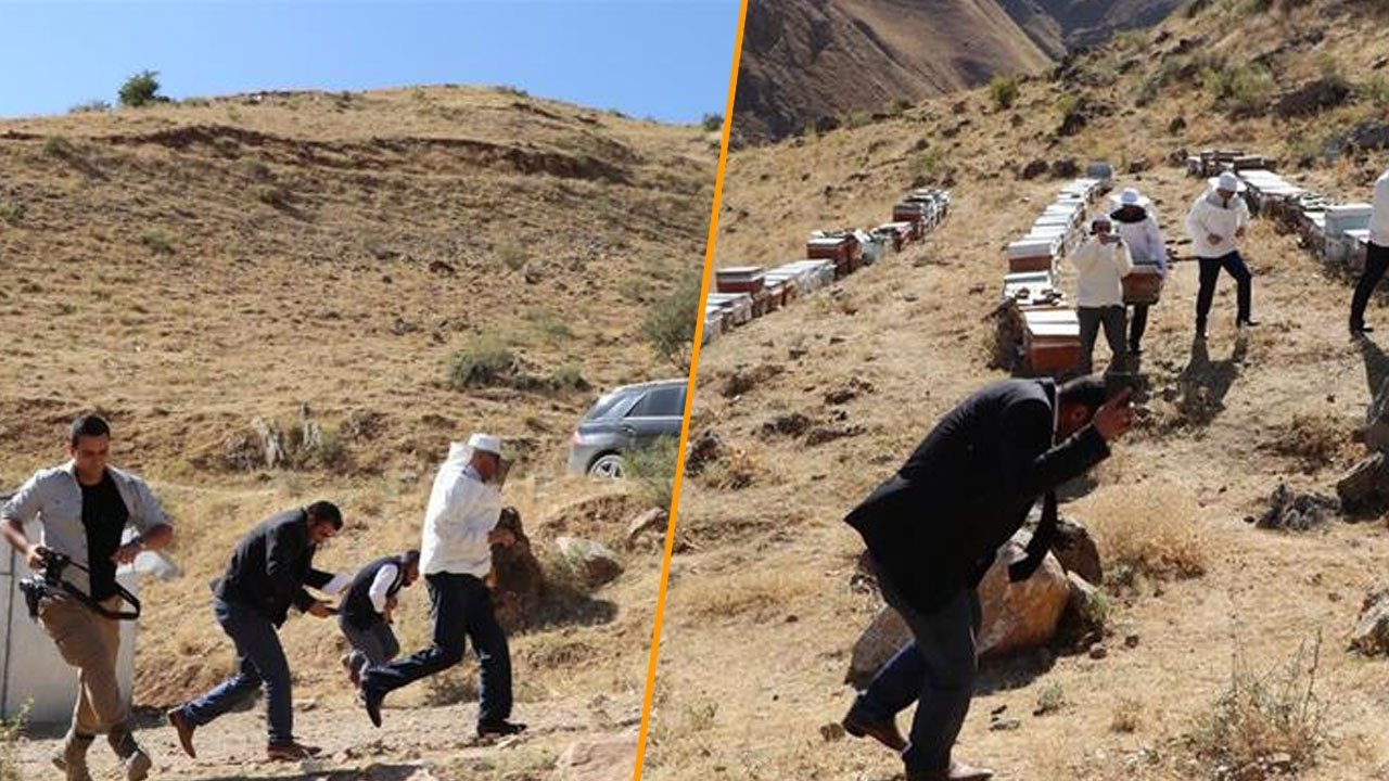 Verimli bal sezonu için şükür duasında arı saldırısına uğradılar