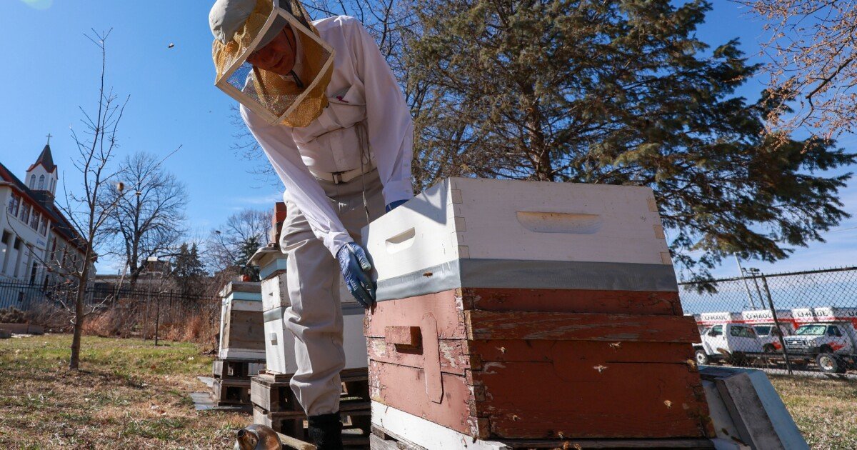 Soon after massive honeybee deaths, Trump moves to close the nation's premier bee lab