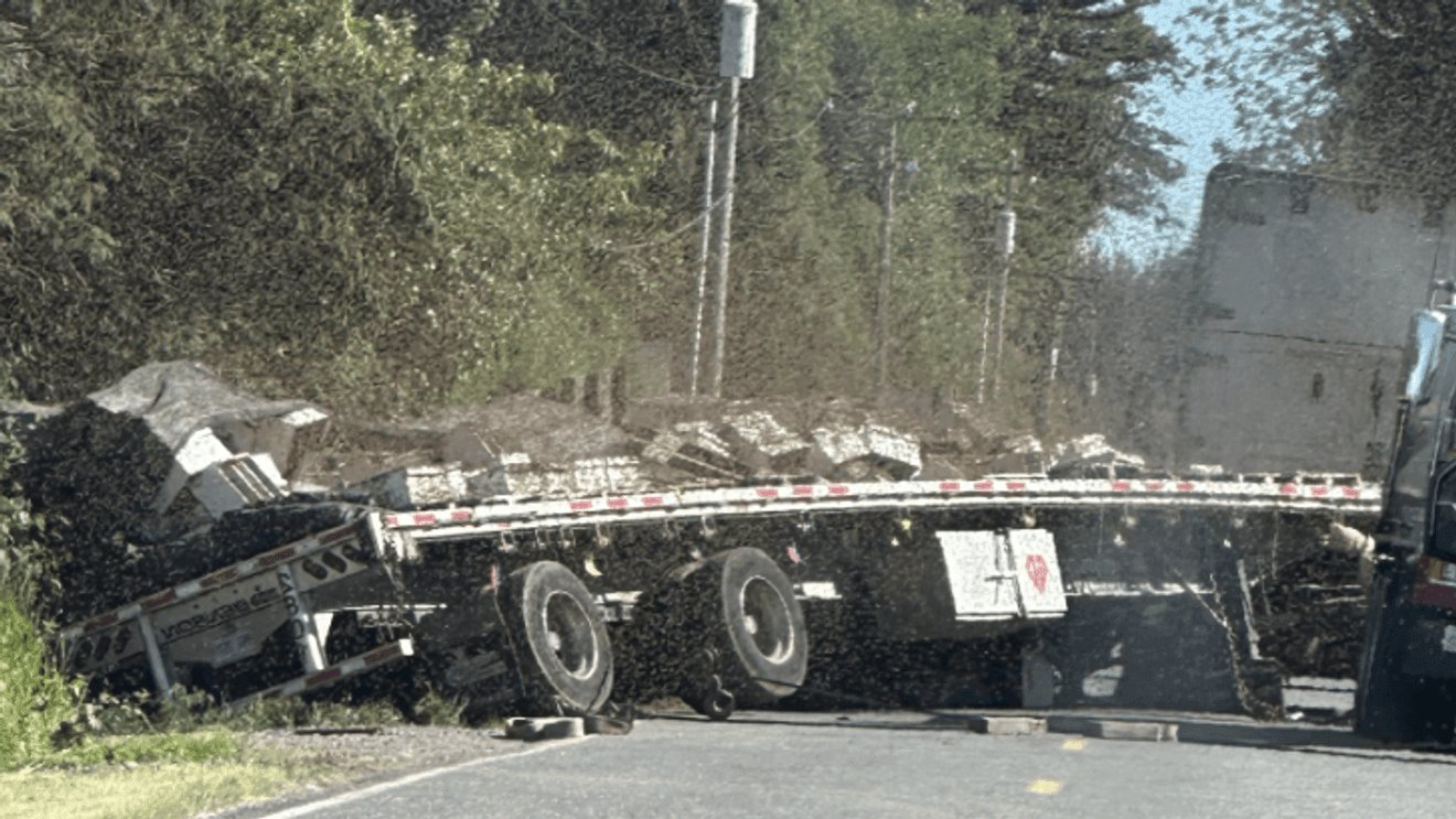 Miljoenen honingbijen ontsnappen na omgevallen vrachtwagen in Whatcom County door Colleen West…