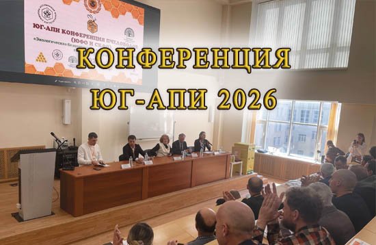 Где содержать пчел зимой?