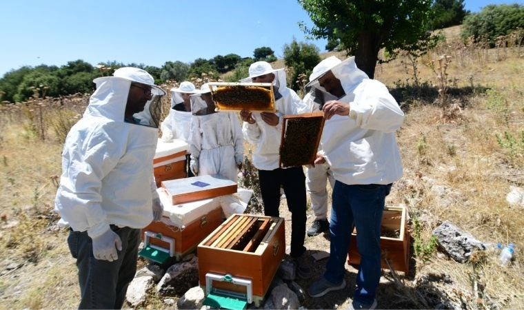 Follow: Share: Another Support for Beekeepers in Bornova The Bornova Municipality does not…