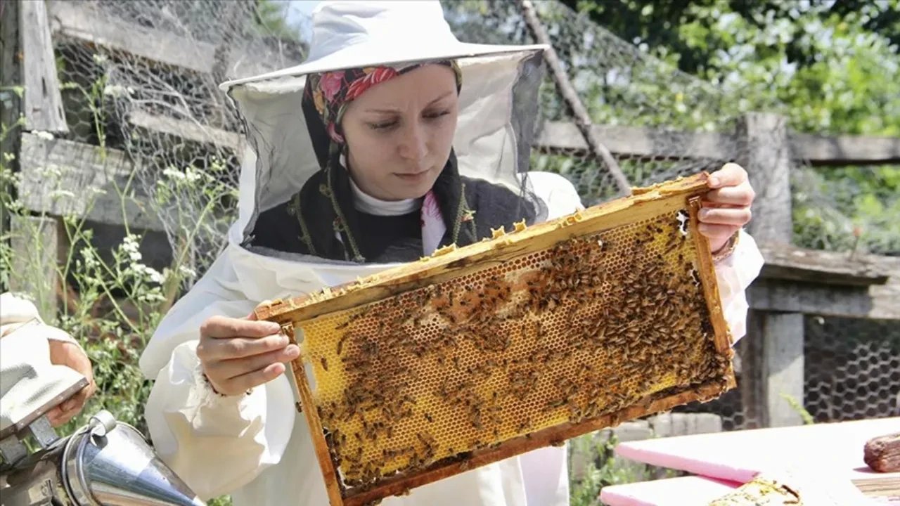 In Adıyaman, where the highest proline value in Turkey is found, bees have completed their…