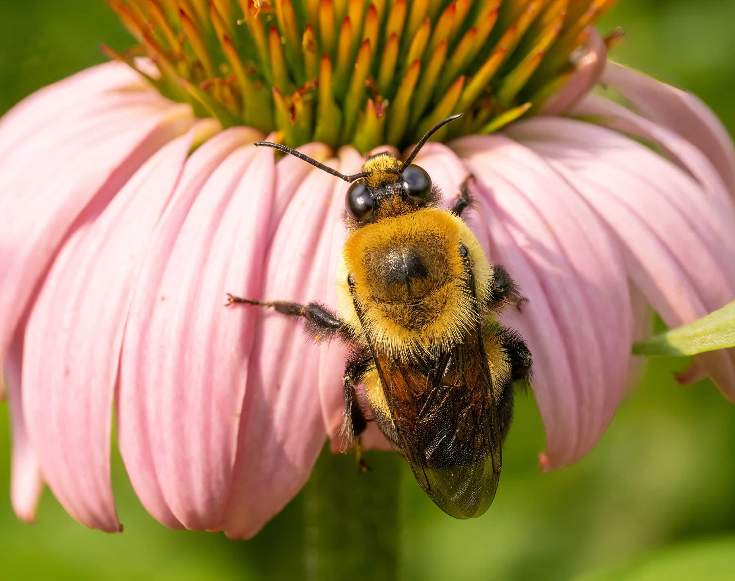 Un article publié dans la revue Science par un groupe de scientifiques en Finlande fournit de…