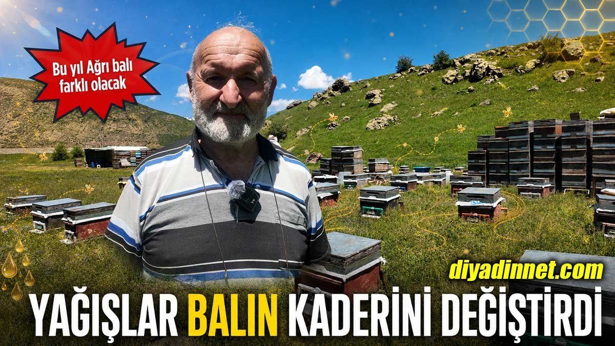 Les apiculteurs des plateaux d'Ağrı ont commencé la saison de production de miel avec 15 jours…
