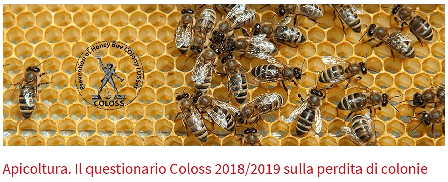 We receive and publish the invitation to participate in the survey on winter losses of bee…
