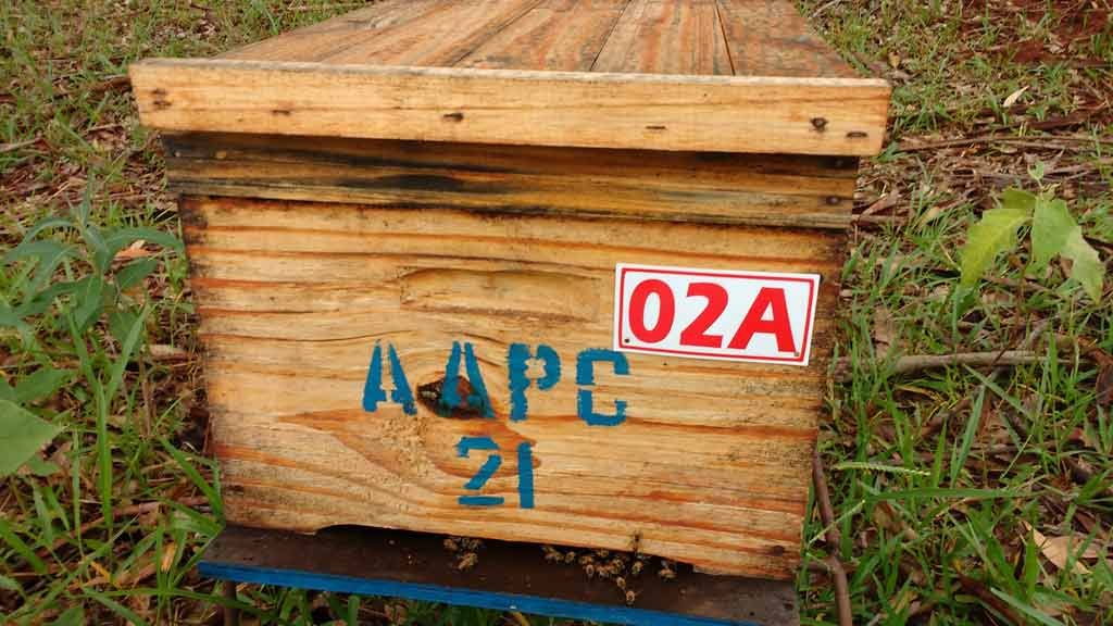 Implanté de 2016 à 2017, le projet a été réalisé dans la municipalité d'Itatinga (São Paulo),…