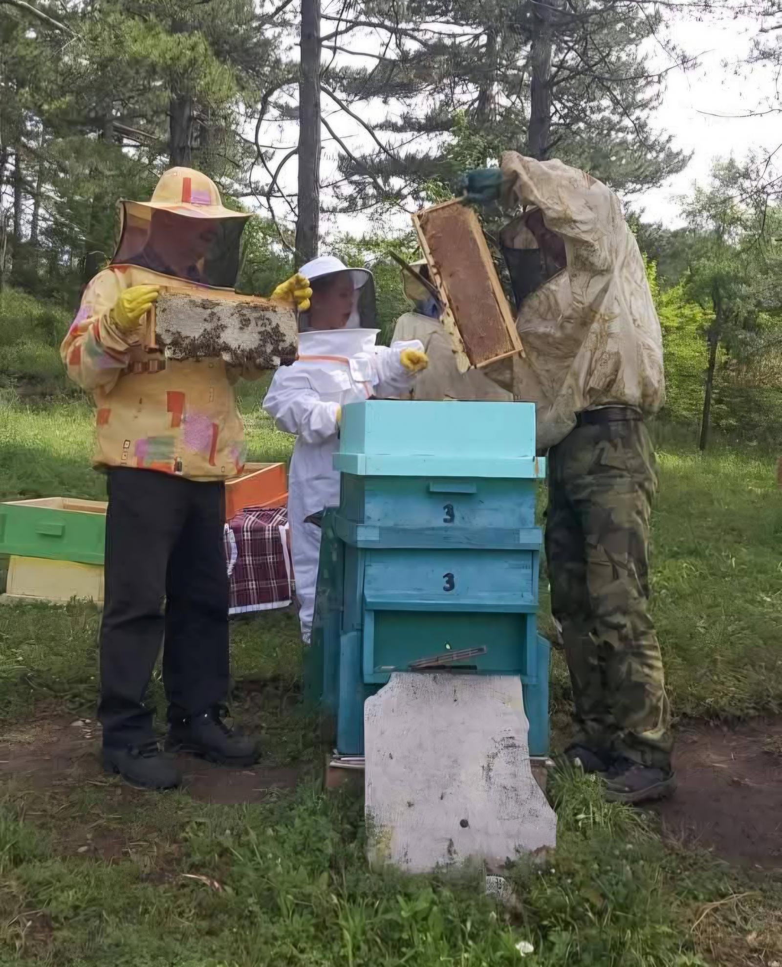 
 The Mehmedali Family's Rhodope Tale: A Year Later in the New Honey Harvest Season 
 
Monday, June 15, 2026 
 In the village of Komuniga (Kuşallar), located at