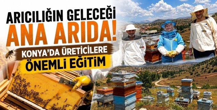ТЕПЛИЦЫ-ЖИВОТНОВОДСТВО Дата публикации: 15 июня 2026 01:57 Редактирование: 15 июня 2026 02:01…