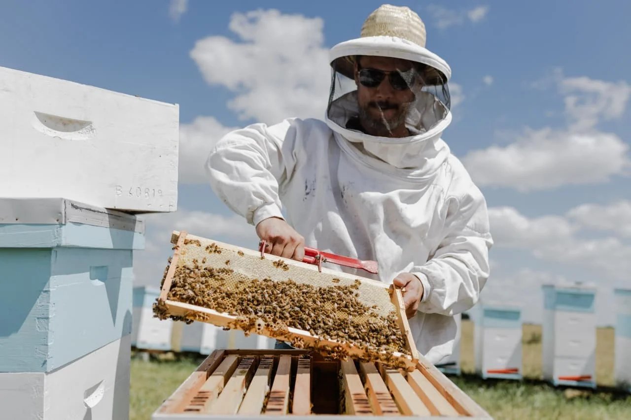 Locales15 de junio de 2026 | 16:30 Un nouveau cycle apicole centré sur la pollinisation du…