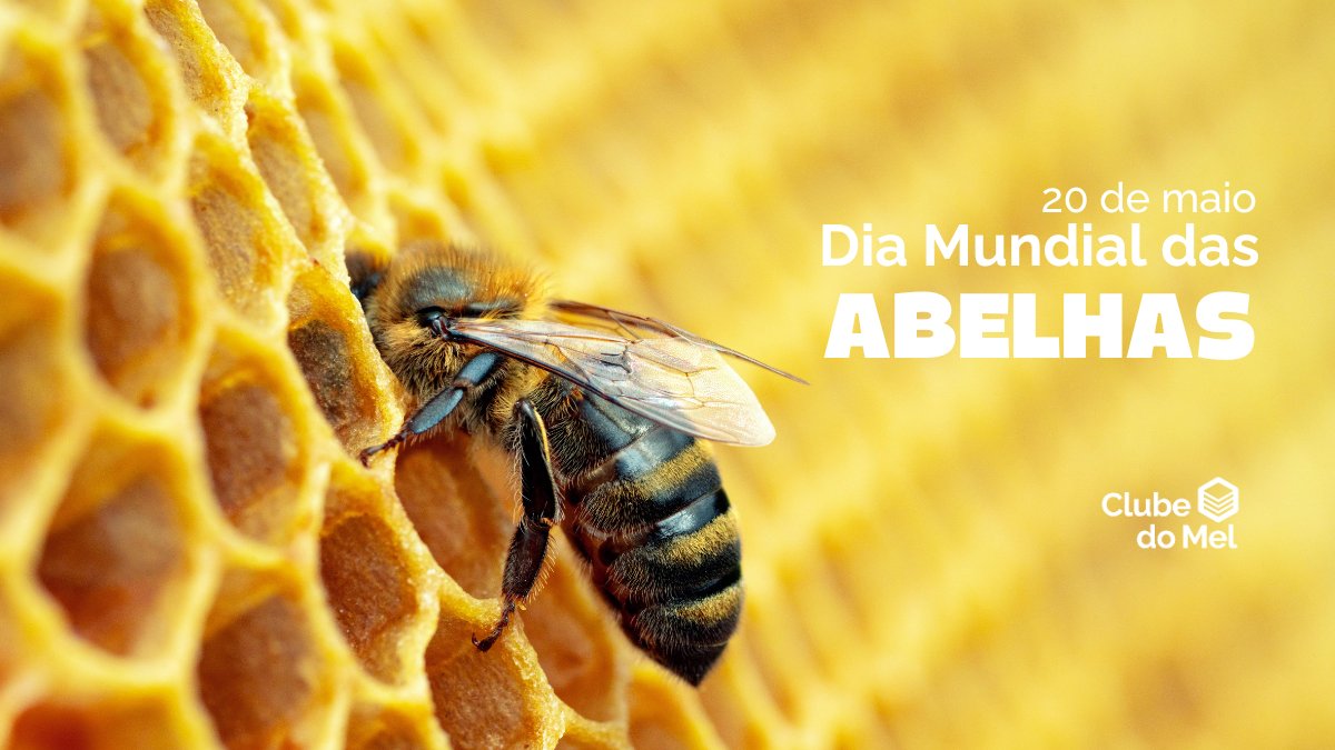 Zur Familie Apidae gehörend, teilen sich die Bienen in mehr als 20.000 Arten weltweit und sind…
