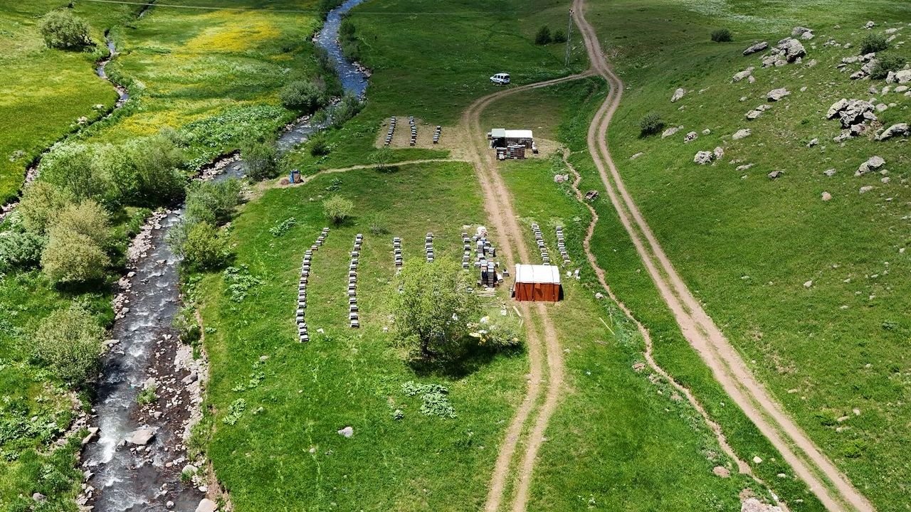 L'apiculture s'active dans les hauts plateaux : La saison du miel a commencé tard Dans les…