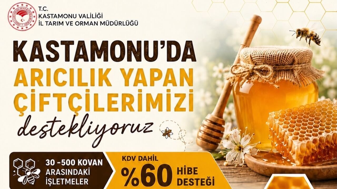 Good News for Beekeepers in Kastamonu: 60% Grant A 60% grant support for beekeeping…
