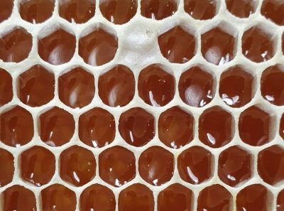 As of May 10, 2026, orders for bee packages from the Poltava region, Kremenchuk district, are…